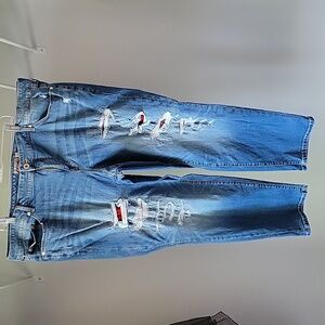 Torrid Vintage stretch jeans